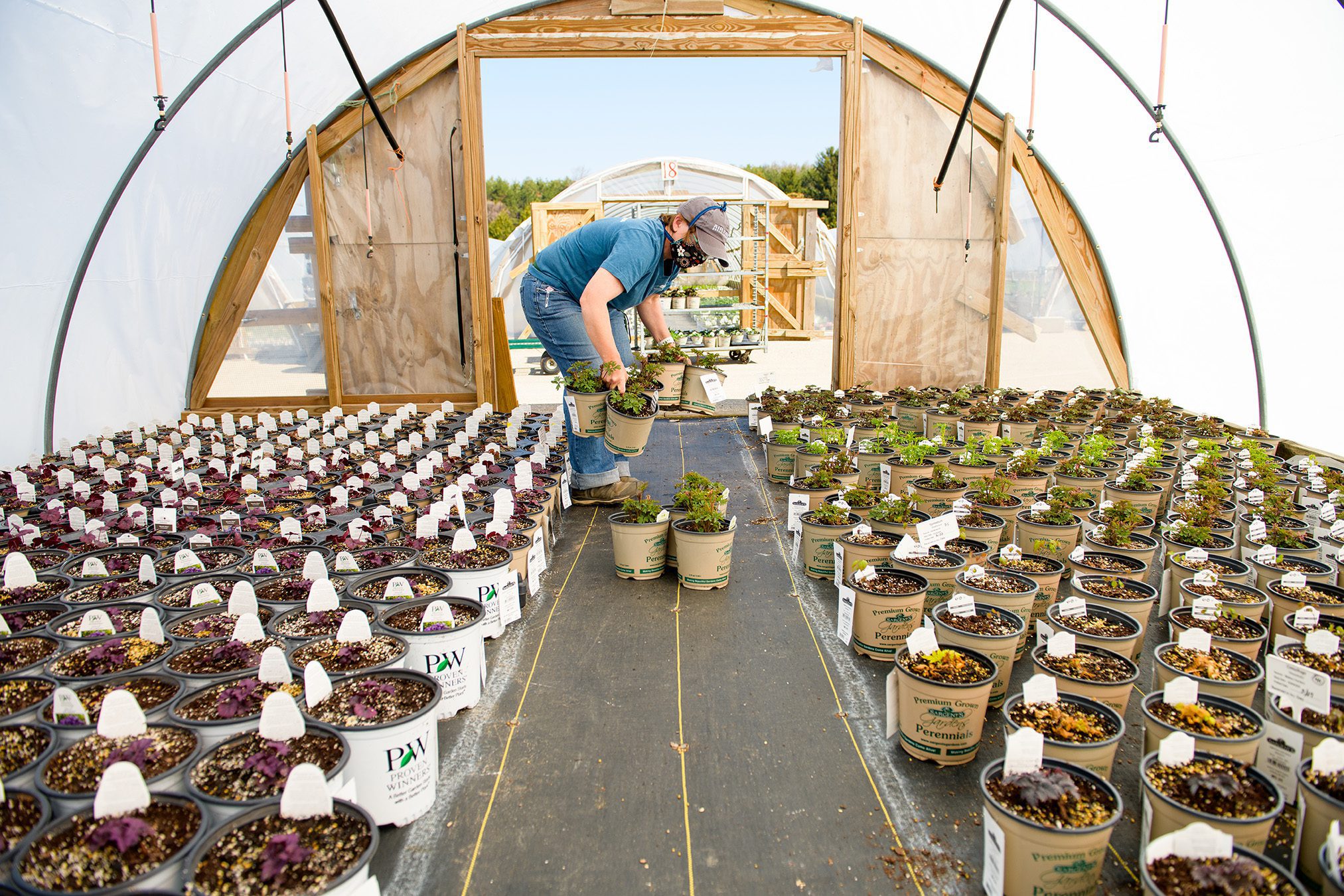Info Center Sargent's Rochester, MN