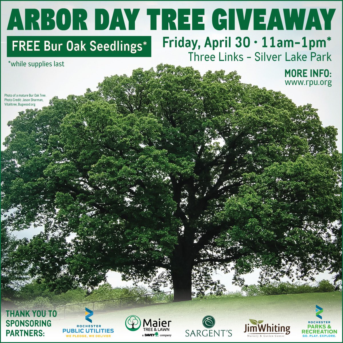 Arbor Day Tree Giveaway Sargent's Rochester, MN