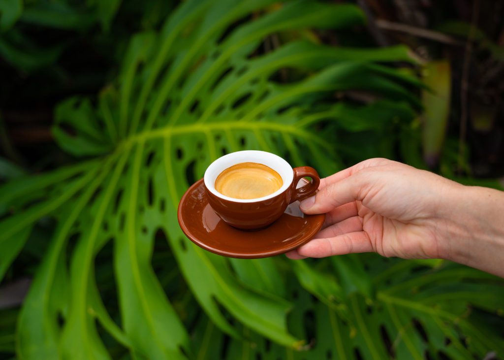 Sargent's Rochester, MN