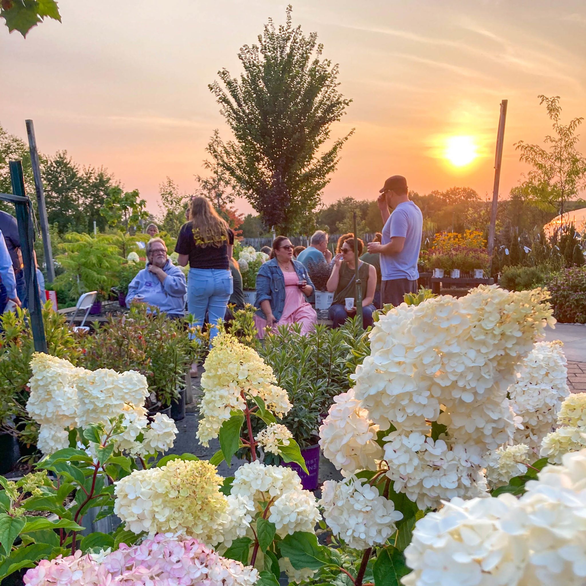 Smooth Summer Nights Recap: Coming Together in the Garden - Sargent's ...