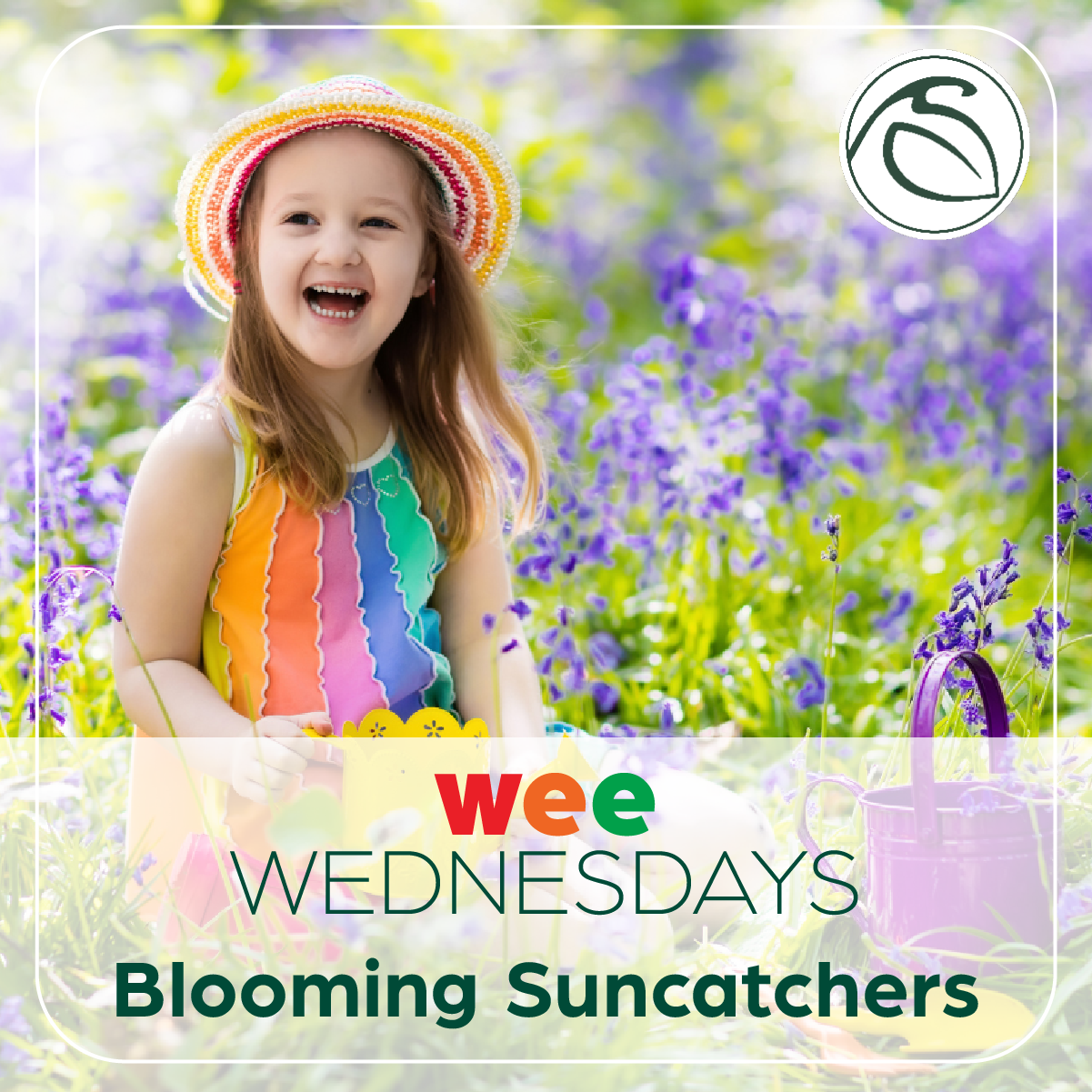 Events - Sargent's - Rochester, MN