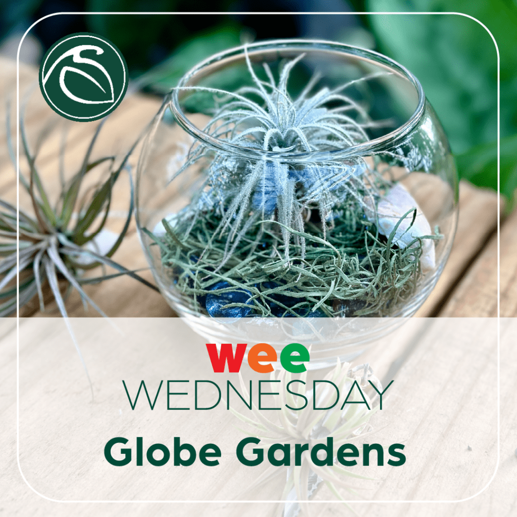 Events - Sargent's - Rochester, MN