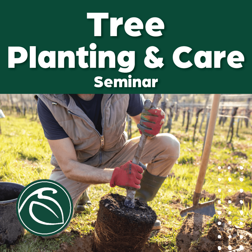 Events - Sargent's - Rochester, MN