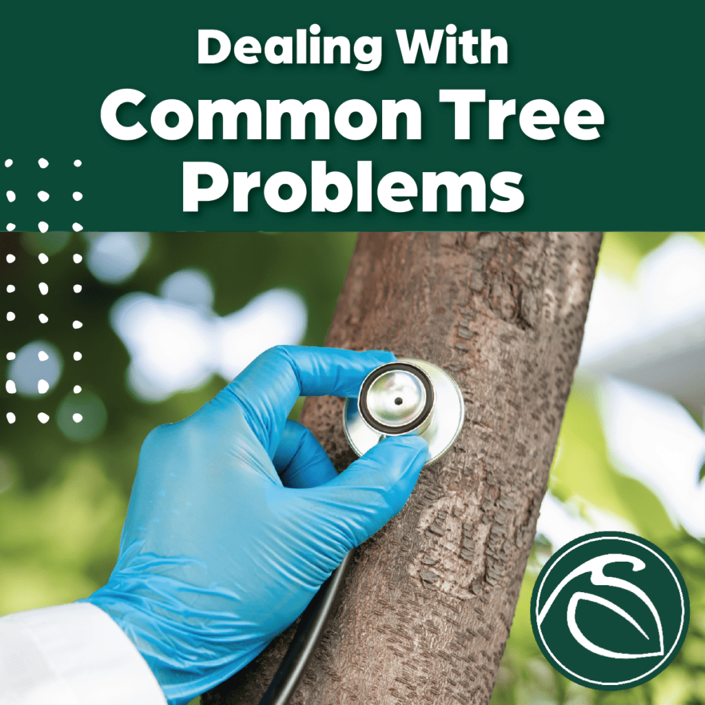 Events - Sargent's - Rochester, MN