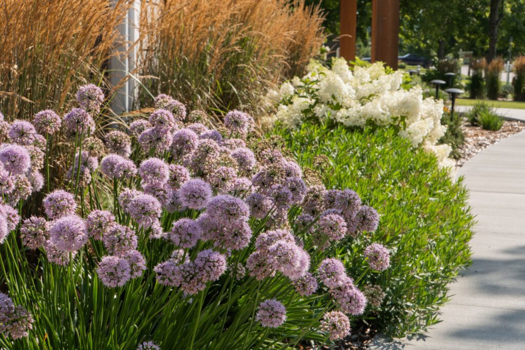 Front entryway landscaping design with flower beds on either side of the front door