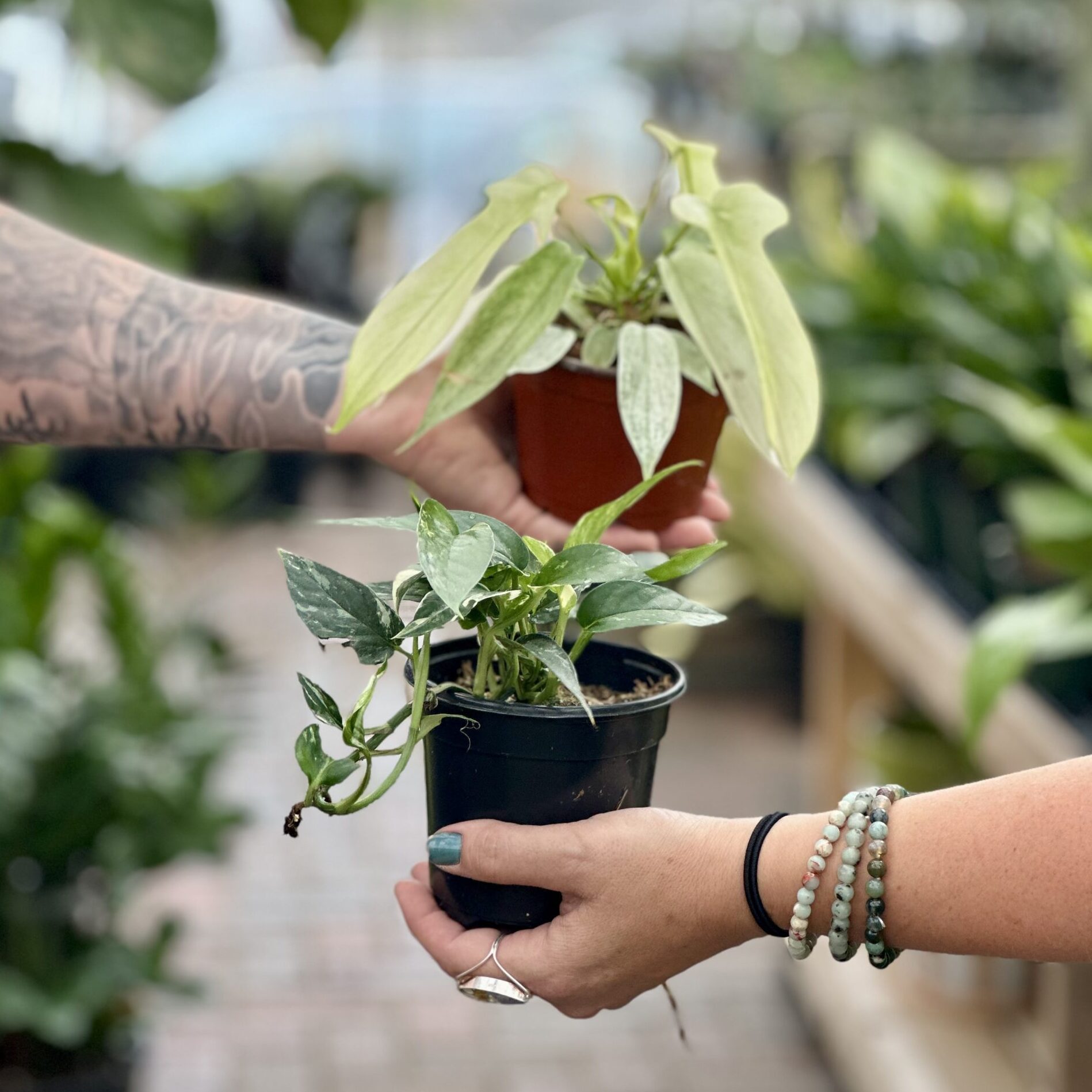 Shop - Sargent's - Rochester, MN