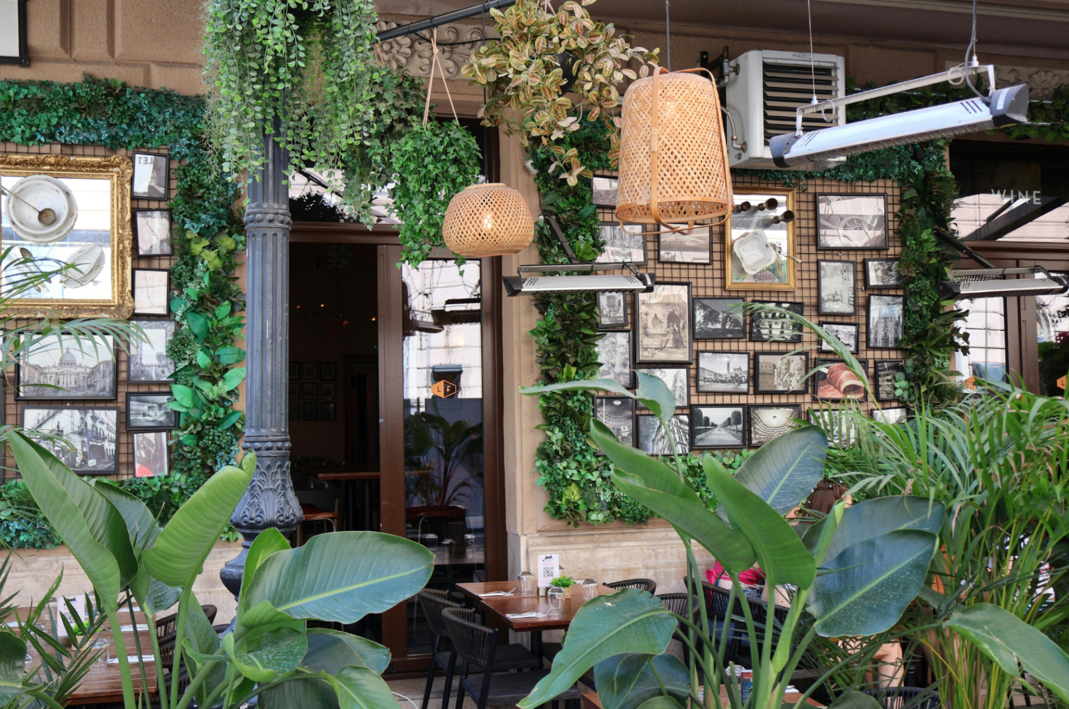 Interior Plantscape Services - Sargent's - Rochester, MN