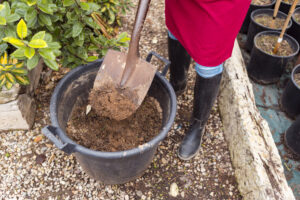 How Much Mulch Do I Need Per Yard A Rochester Homeowner’s Guide