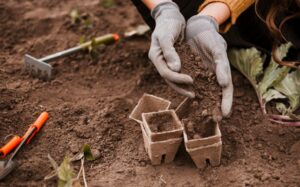 Topsoil Delivery in Rochester Choosing the Right Soil for Your Project