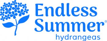 endless-summer-hydrangeas-logo-branding