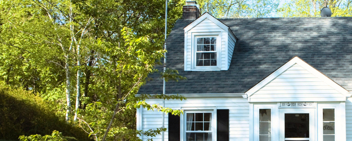 White two-story home landscaping with tree, shrub and plants